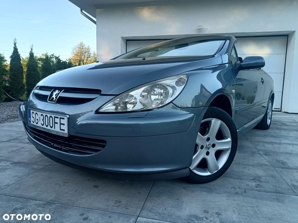 Peugeot 307 - 20