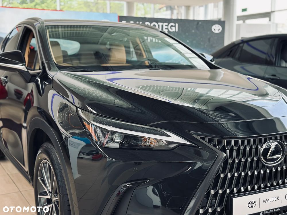Lexus NX 350h Prestige 2WD - 7