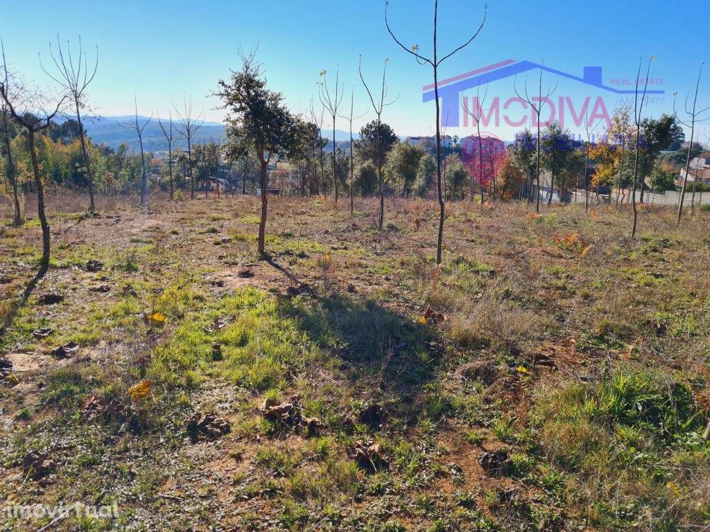 Terreno com 7107m2, viabilidade de construção em Figueiró dos Vinhos - Grande imagem: 3/8