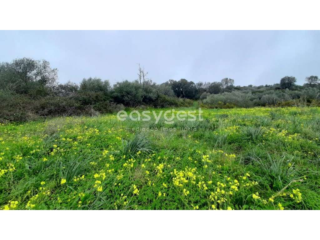 Terreno Rústico com 13960m2 a 2 km do centro de Pêro Pinheiro. - Grande imagem: 4/12