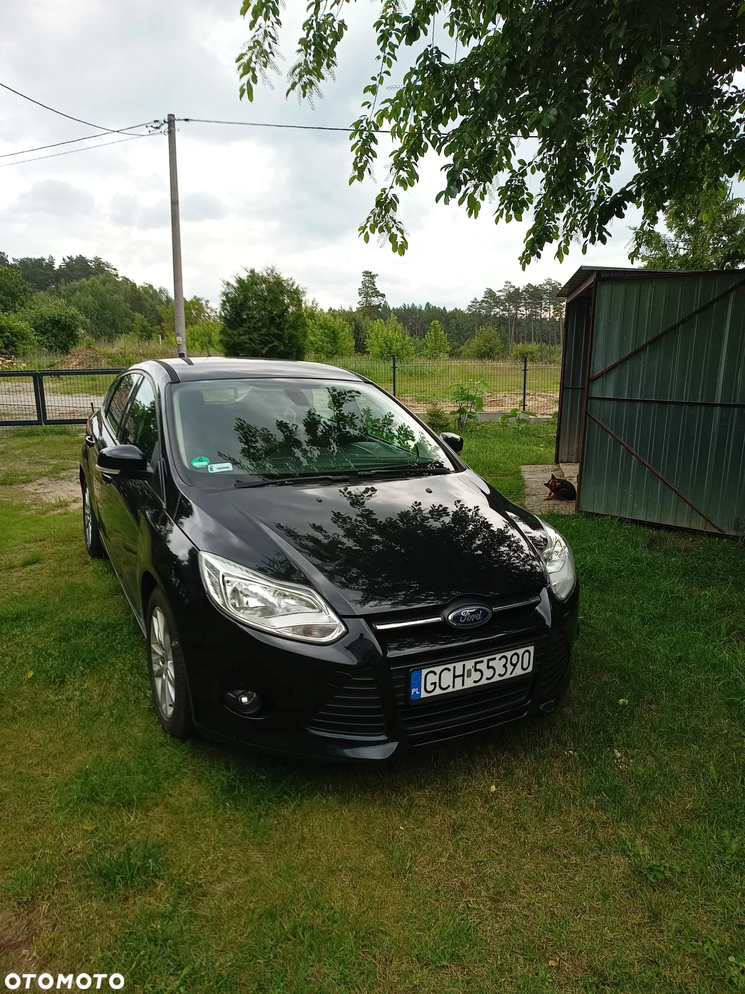 Ford Focus 1.6 EcoBoost Titanium - 7
