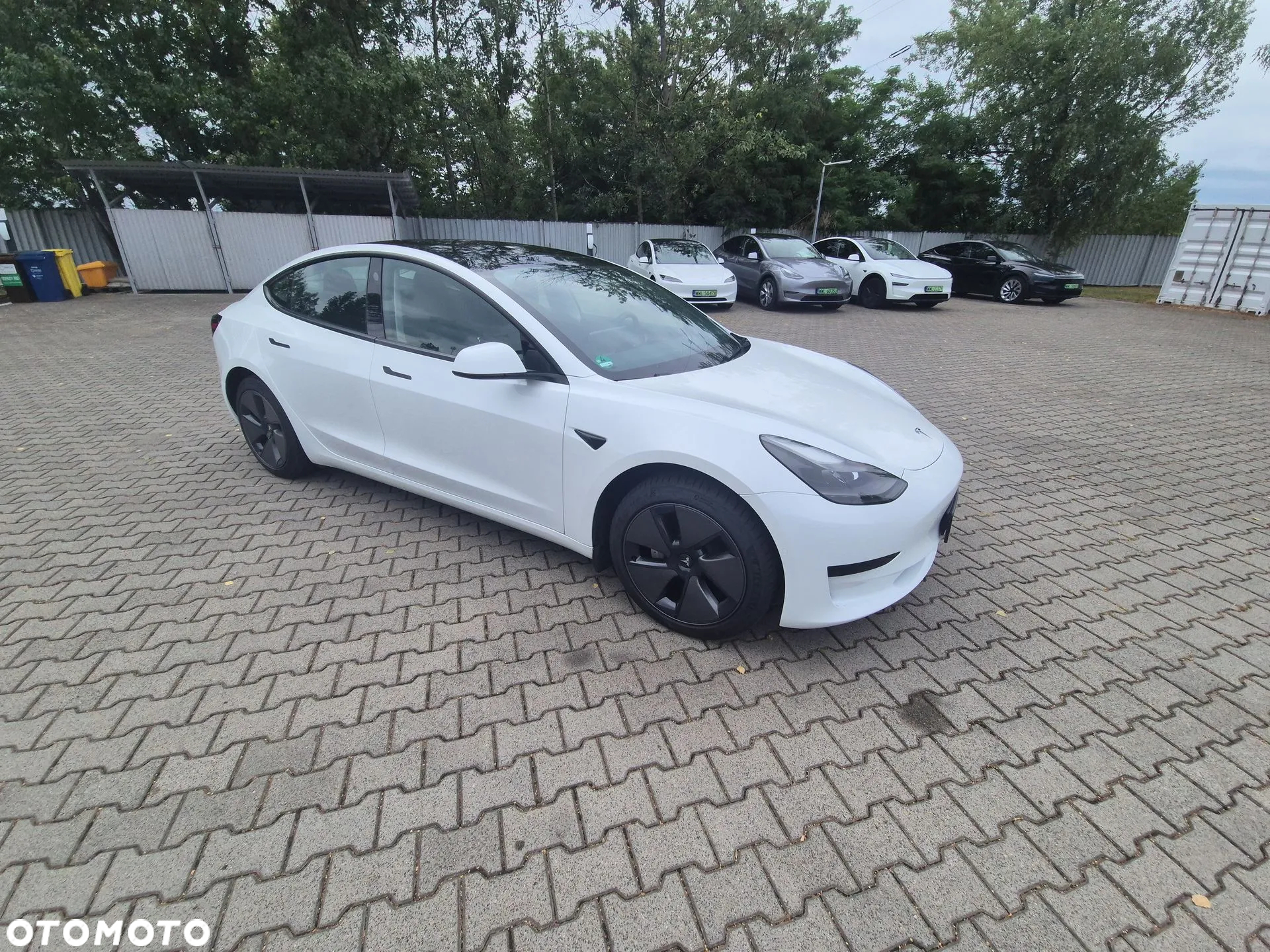 Tesla Model 3 RWD - 7