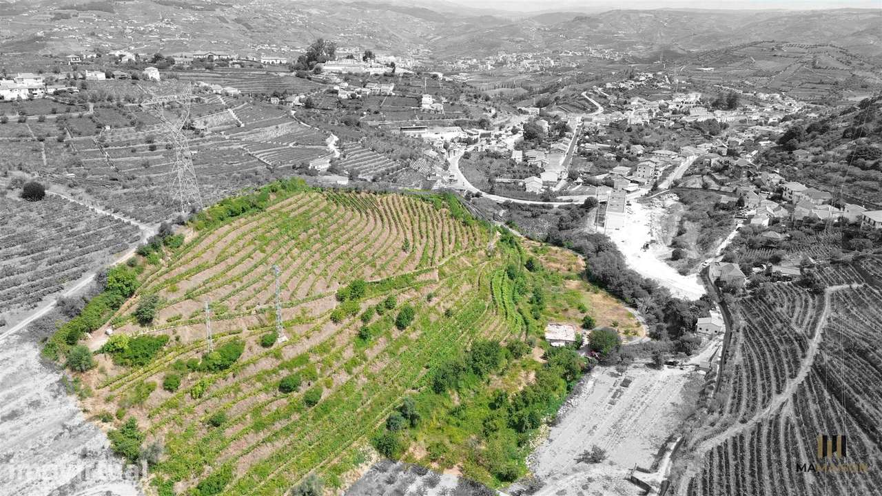 QUINTA DAS LAMAS | + DE 2 HECTARES | DOURO - Grande imagem: 5/8