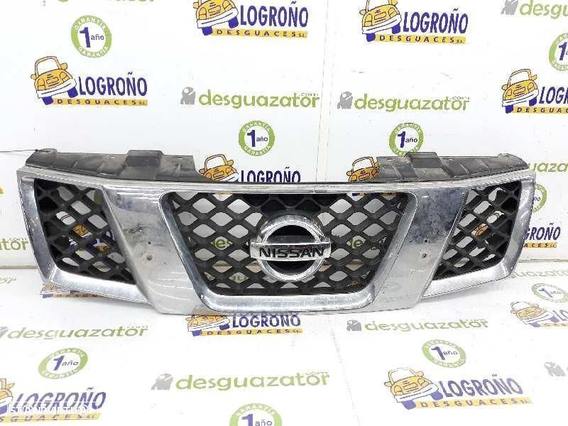 GRELHA DA FRENTE NISSAN PATHFINDER R51 - 1
