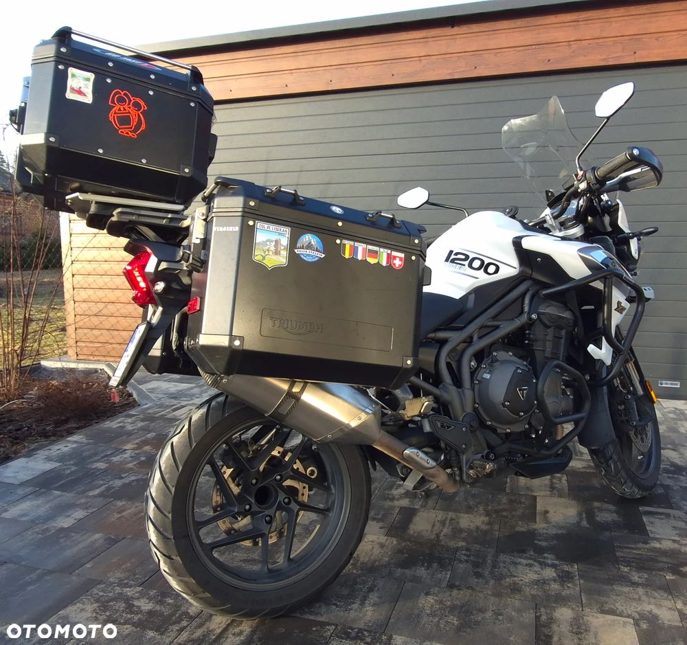 Triumph Tiger - 22