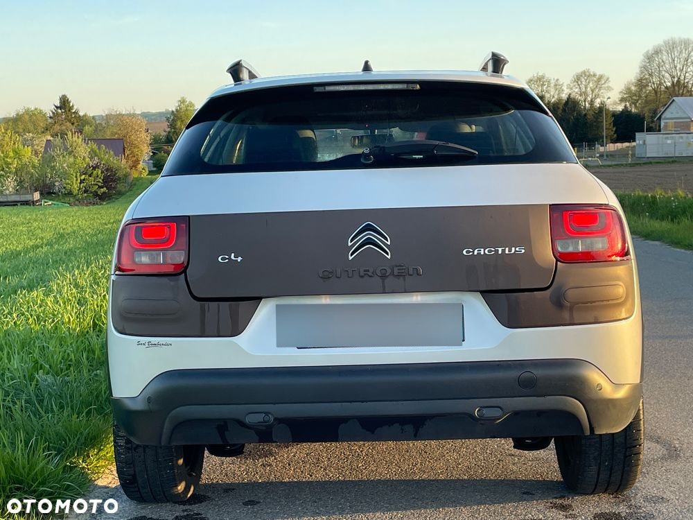 Citroën C4 Cactus PureTech 82 Feel - 19