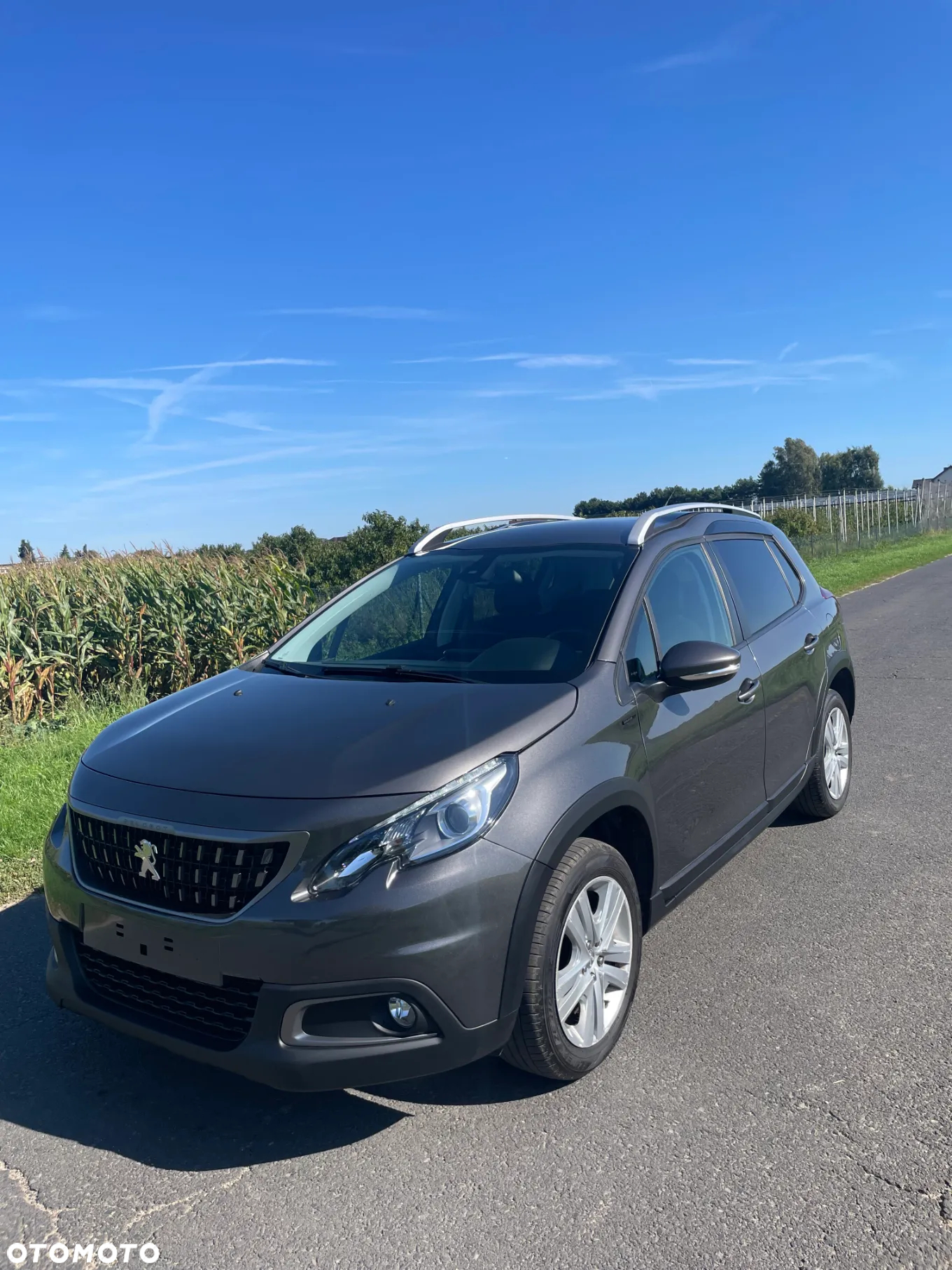 Peugeot 2008 1.2 Pure Tech Access - 8
