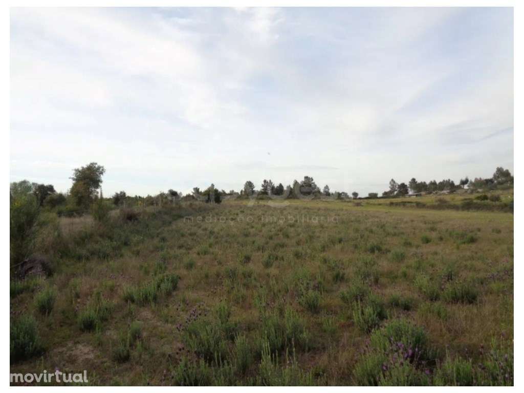 Excelente Terreno Rústico com Poço e Cultura Arvense em São Miguel ... - Grande imagem: 3/6