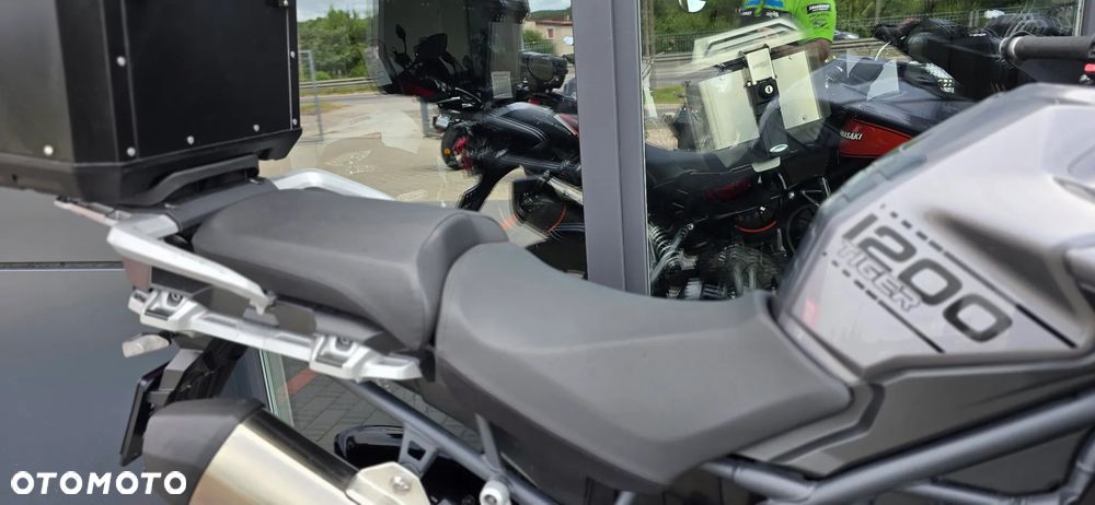 Triumph Tiger - 14