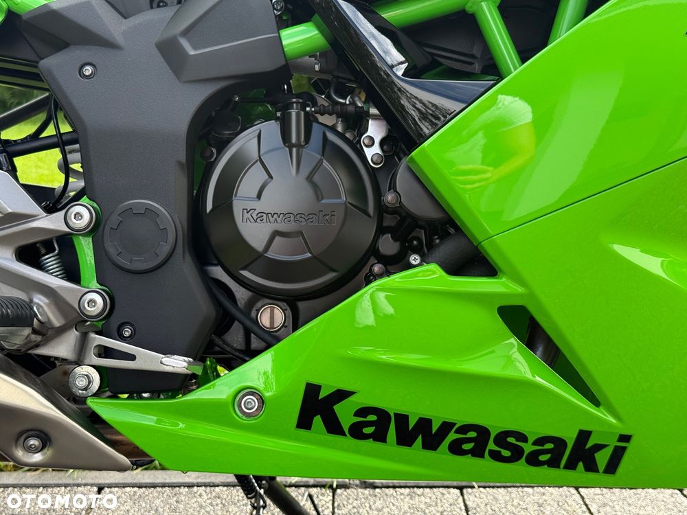 Kawasaki Ninja - 22