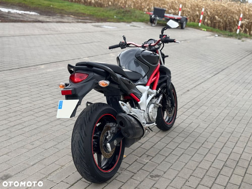 Suzuki Gladius - 12