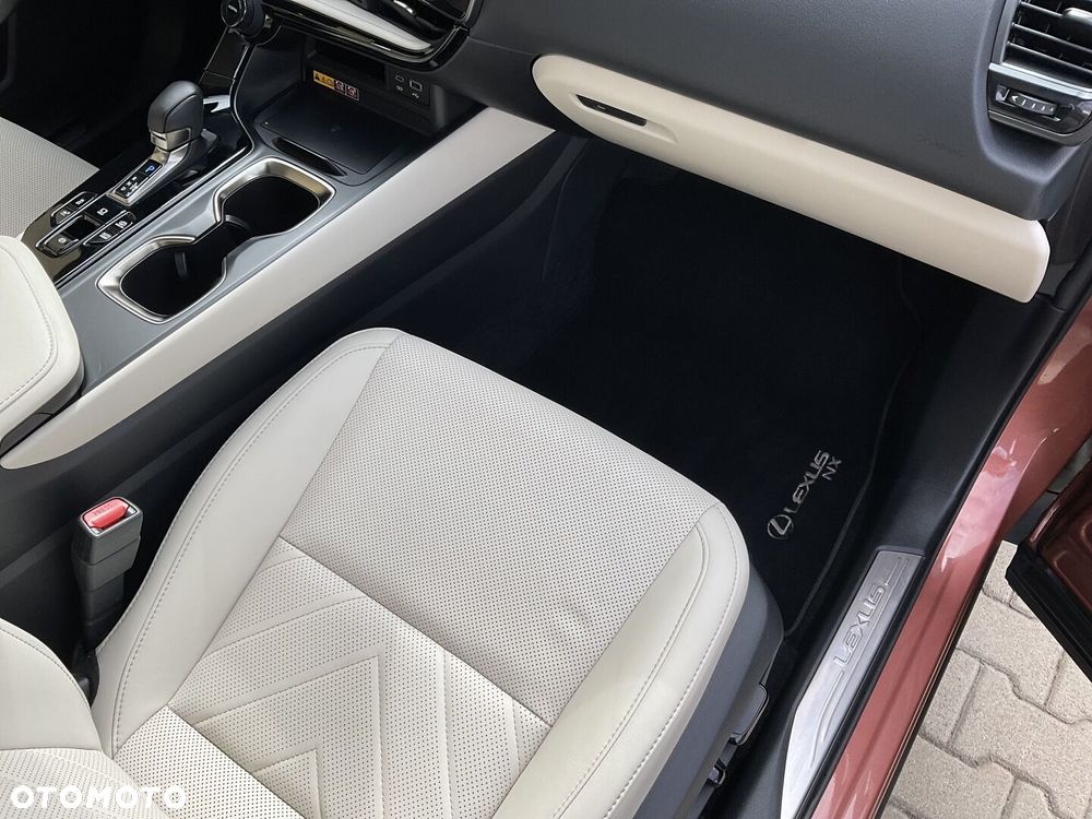 Lexus NX - 10