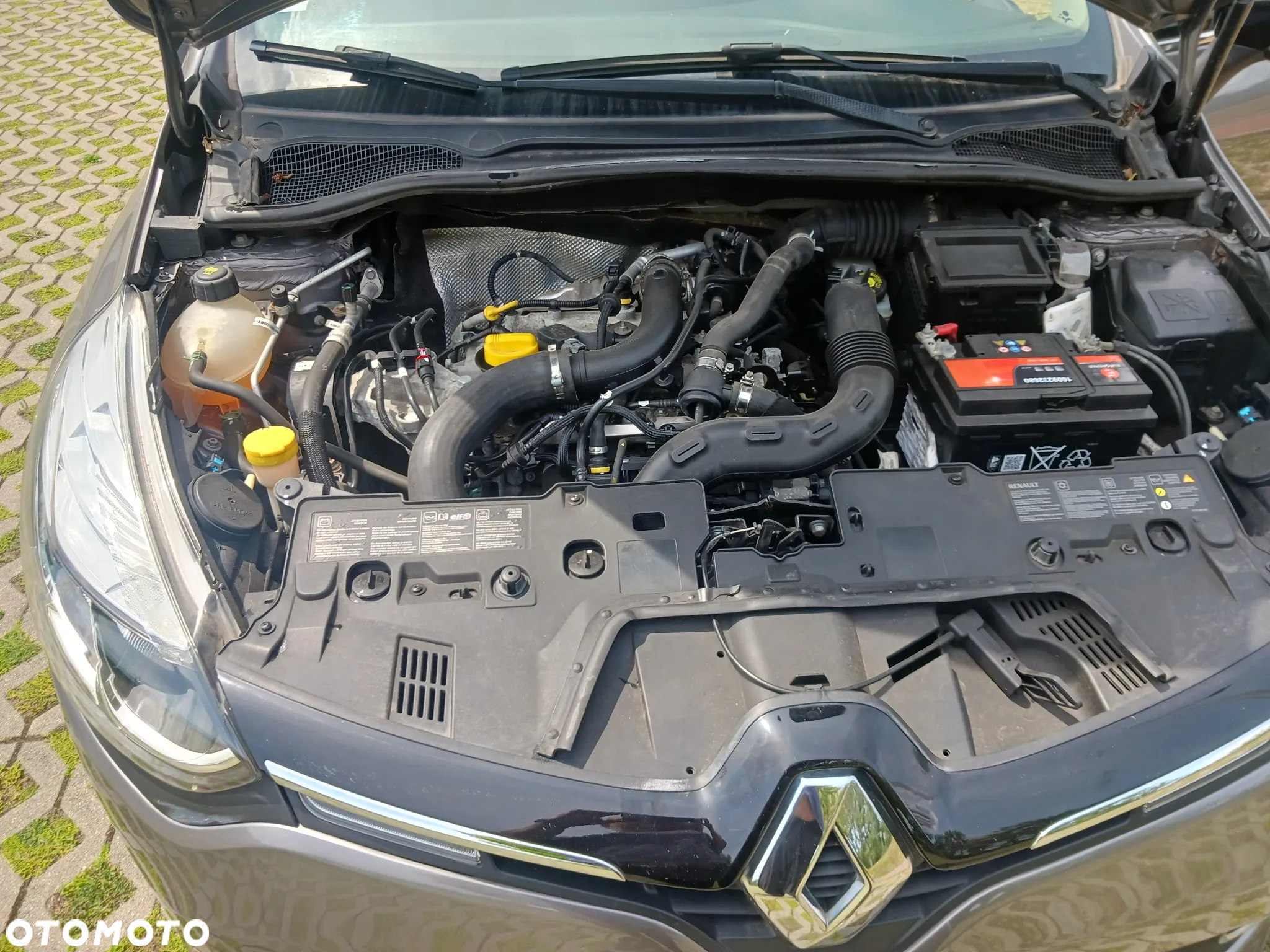 Renault Clio - 24