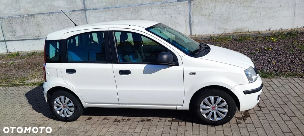 Fiat Panda 1.2 Active Eco - 4