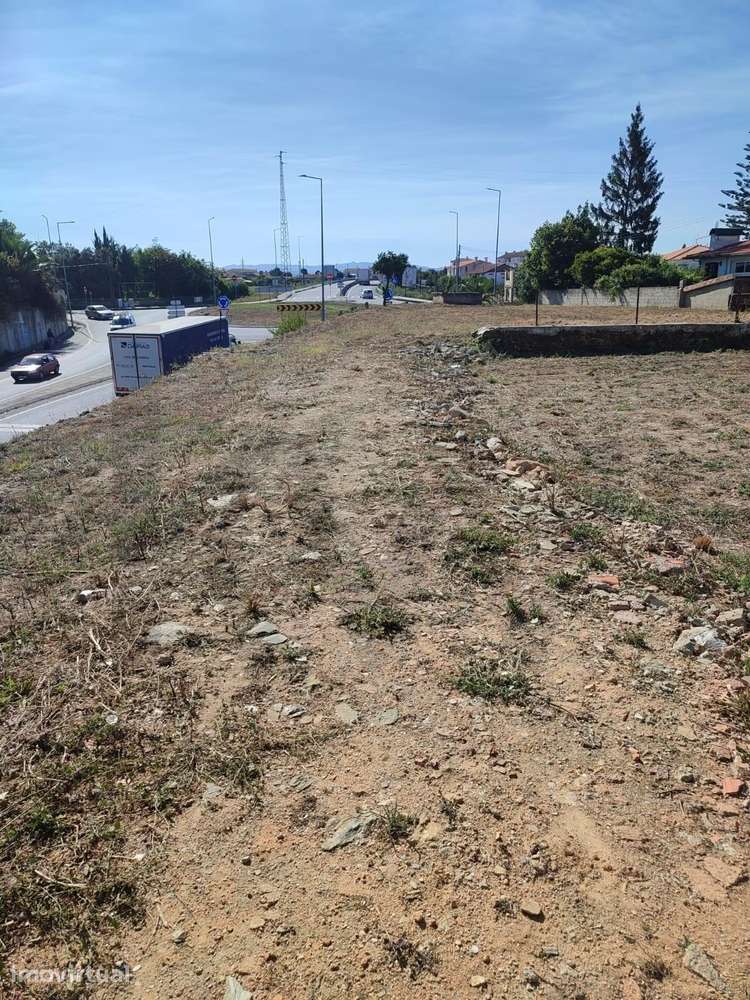 Terreno em Albergaria  a velha - Grande imagem: 3/4