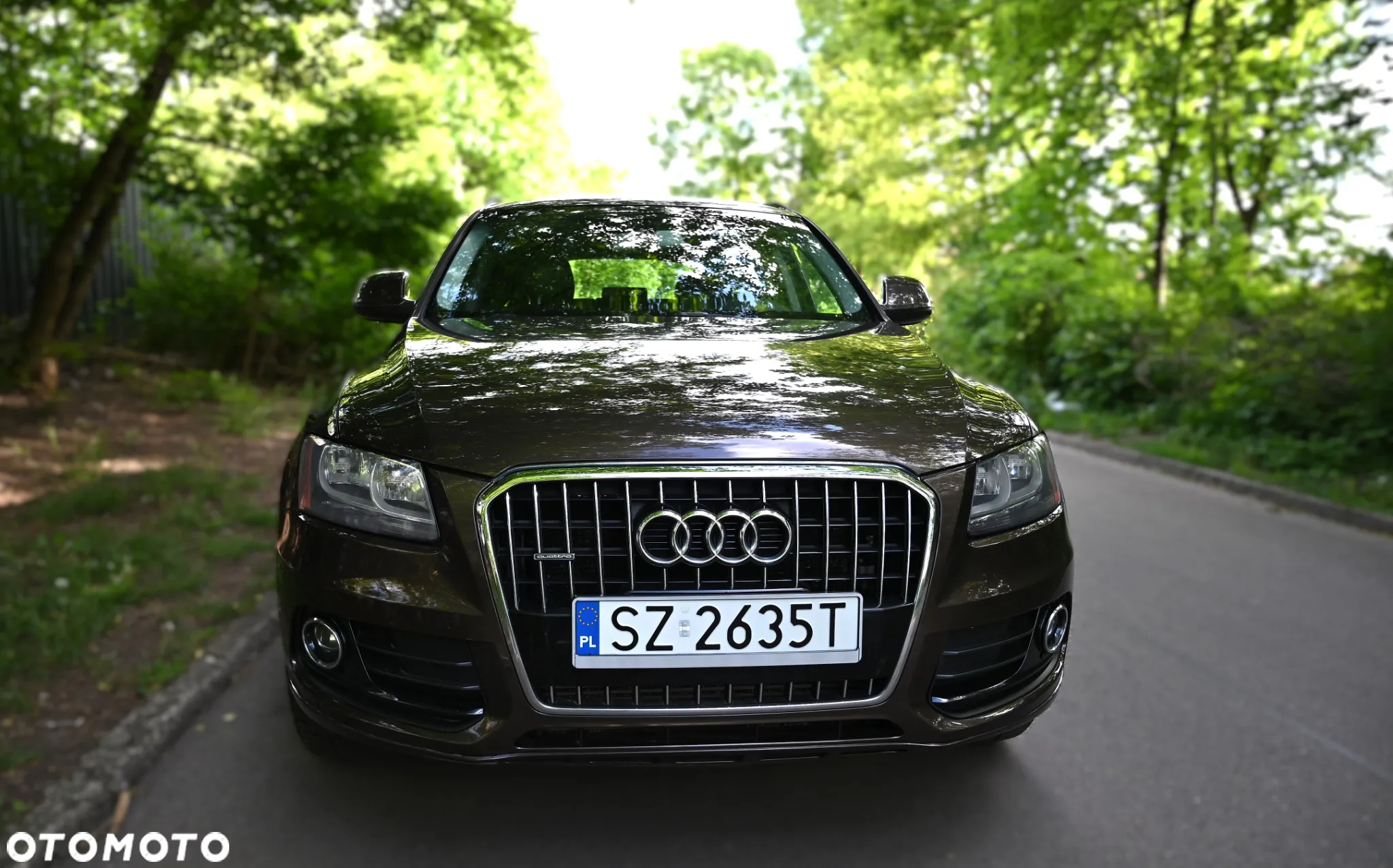 Audi Q5 - 10