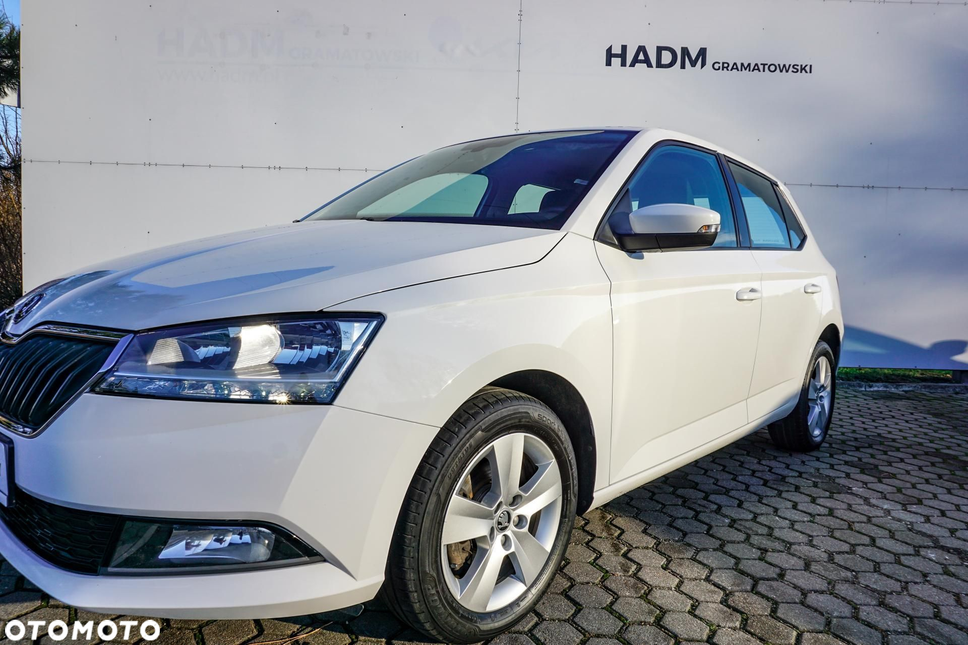 Skoda Fabia - 35