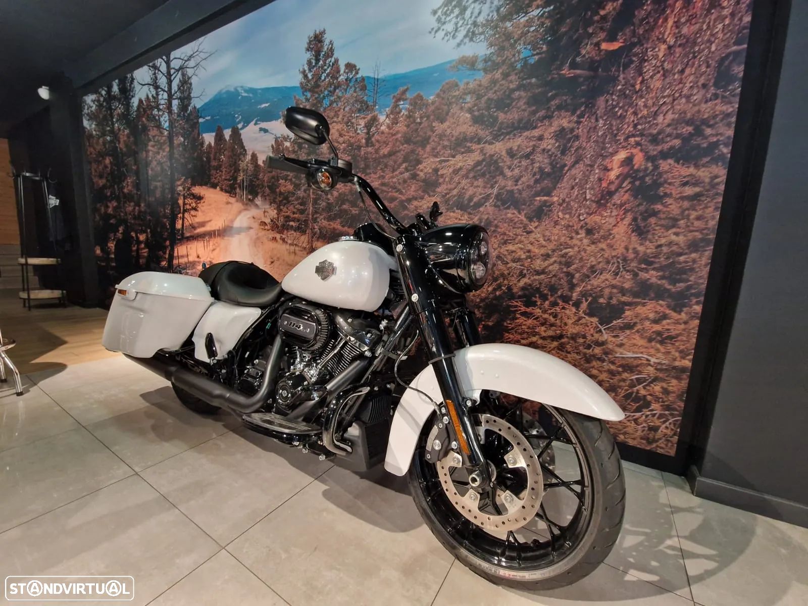 Harley-Davidson Road King Special - 1