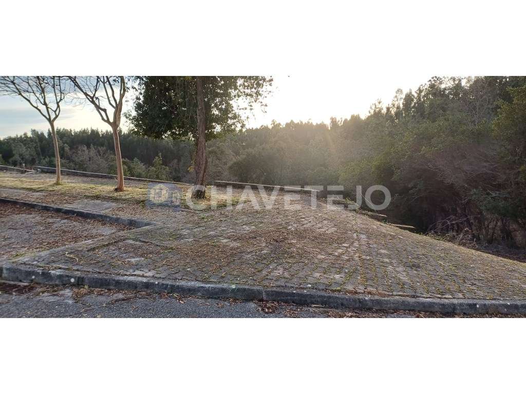 Lote de terreno para construção em zona tranquila em Cernache do Bo... - Grande imagem: 3/11