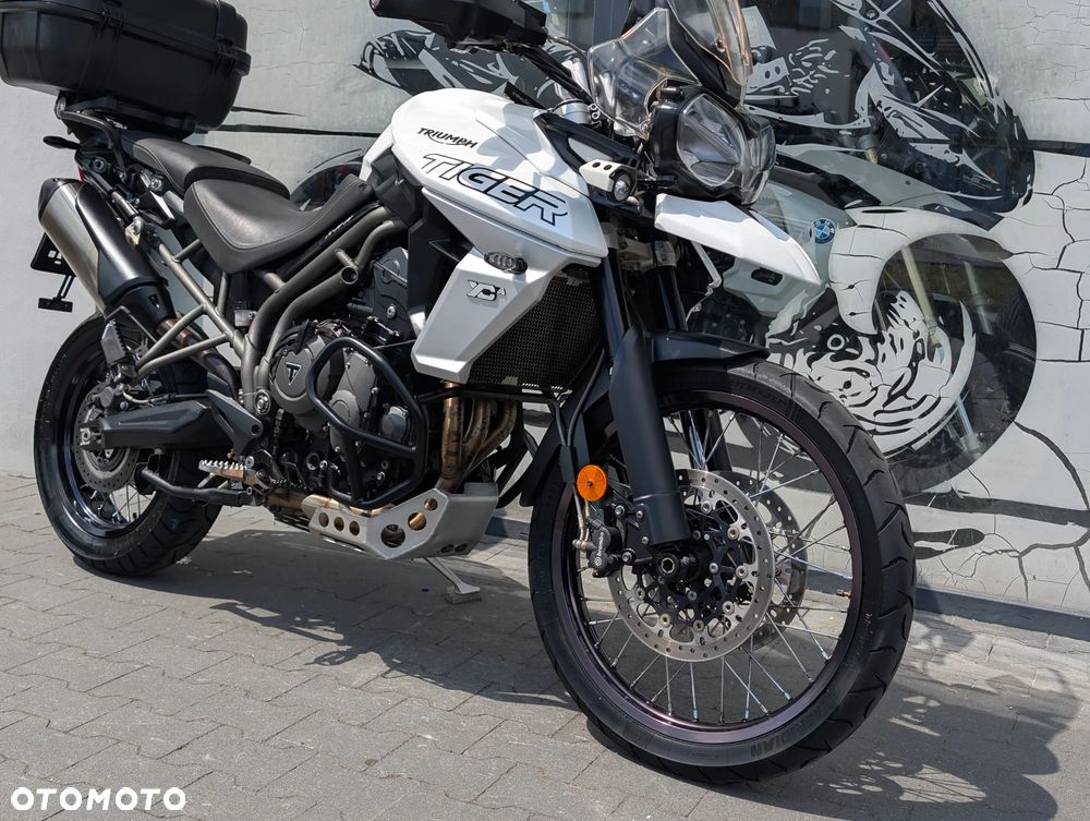 Triumph Tiger - 25