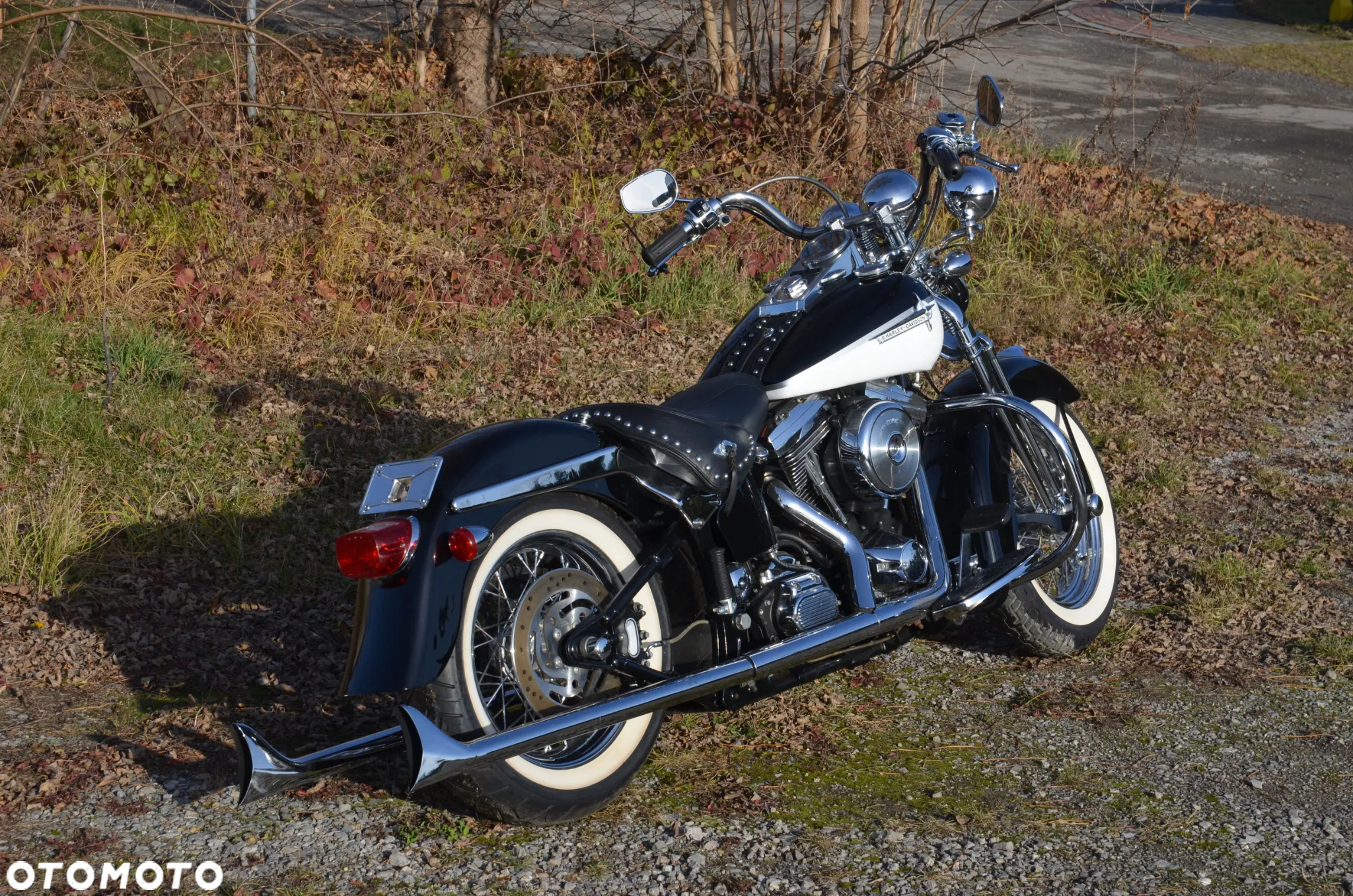 Harley-Davidson Softail Springer Classic - 2