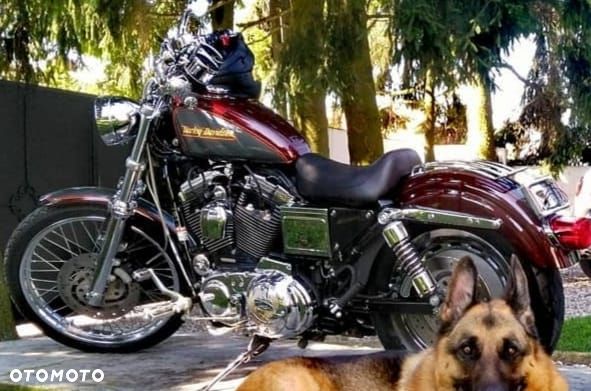 Harley-Davidson Sportster - 2