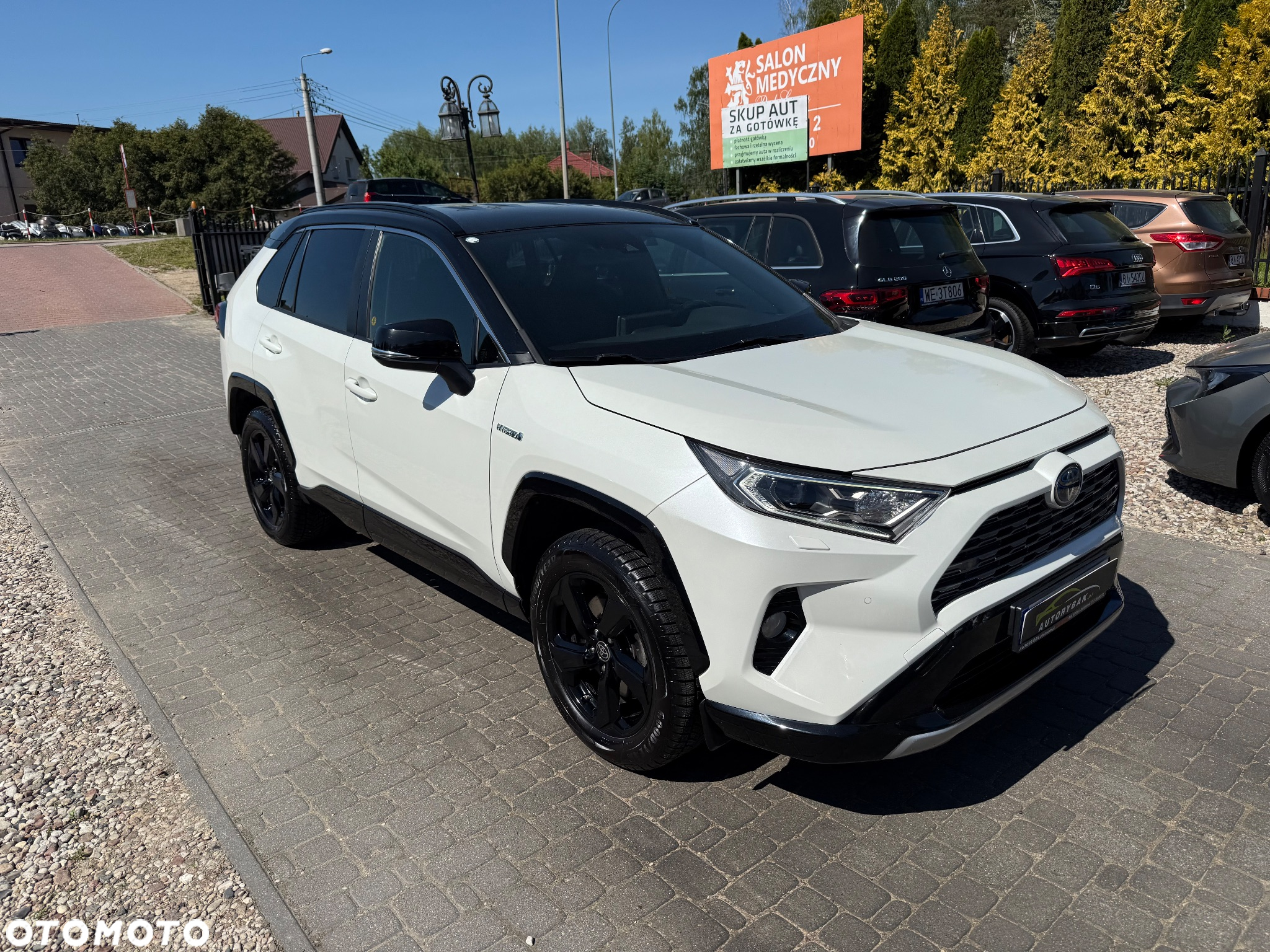 Toyota RAV4 2.5 Hybrid Selection 4x2 - 30
