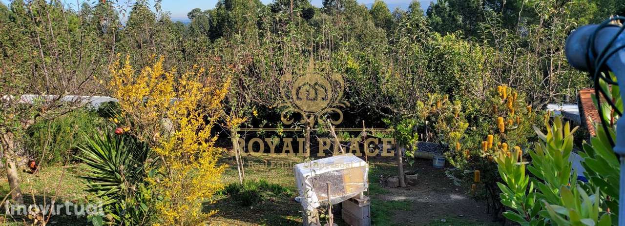 Terreno para construção de Moradia 3 Frentes em Sanguedo - Grande imagem: 3/11