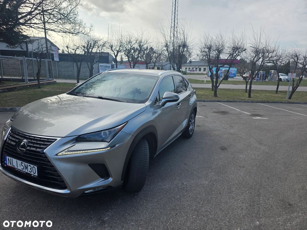 Lexus NX