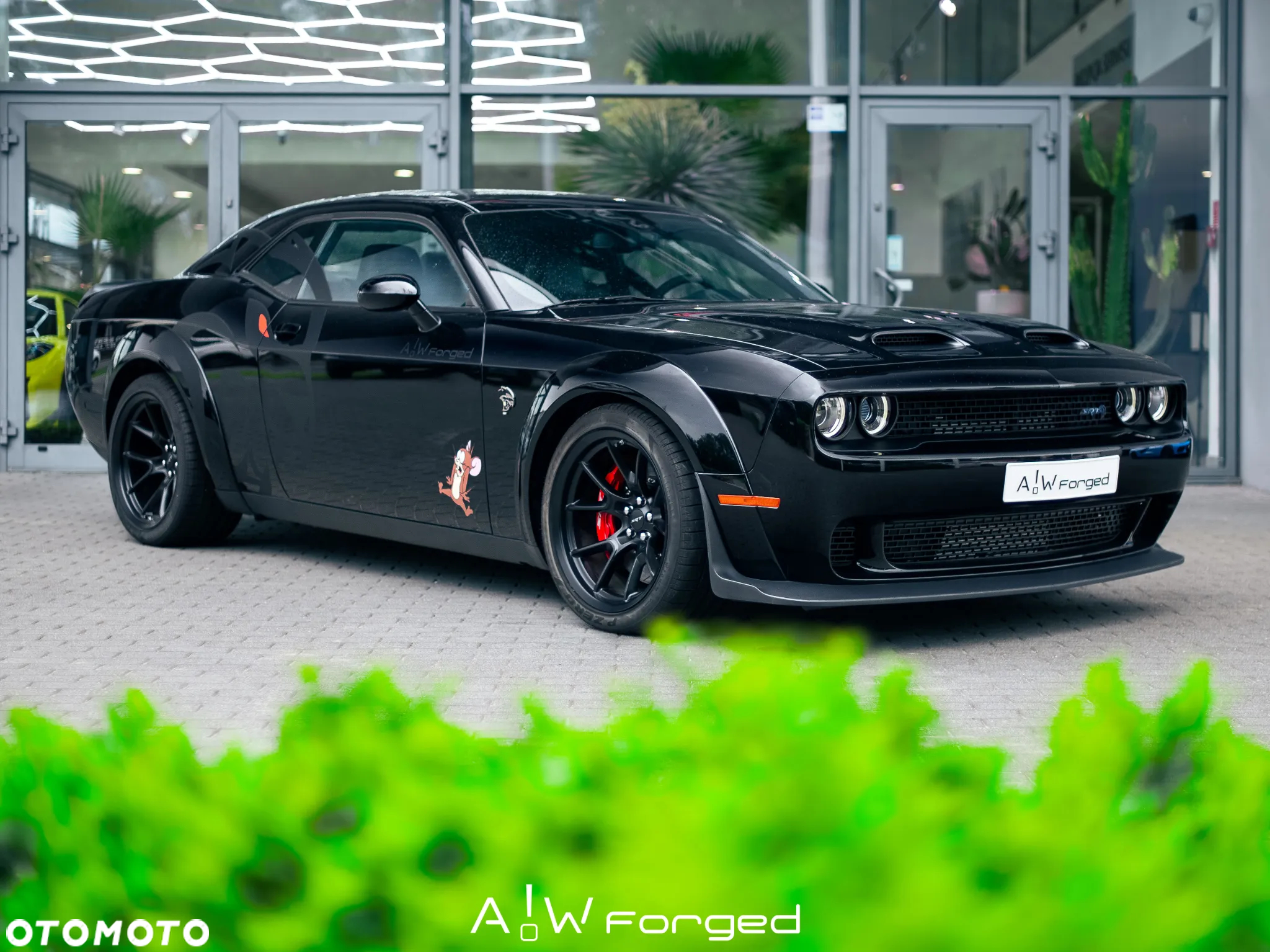 Dodge Challenger 6.2 Redeye Widebody - 6