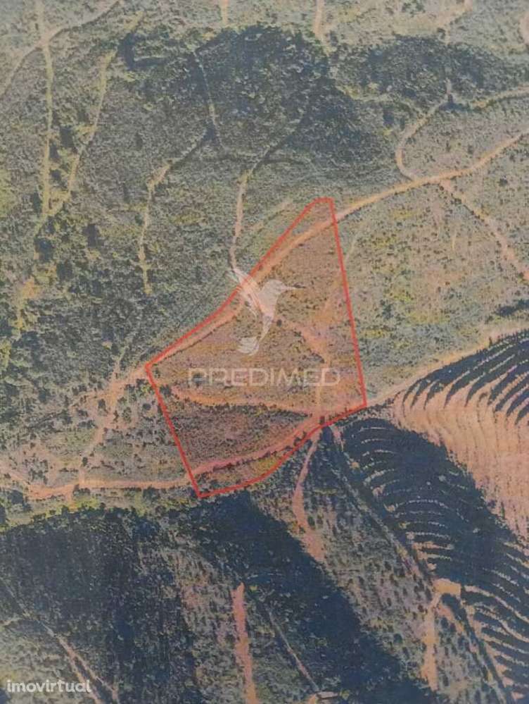 Terreno rústico - Grande imagem: 2/2