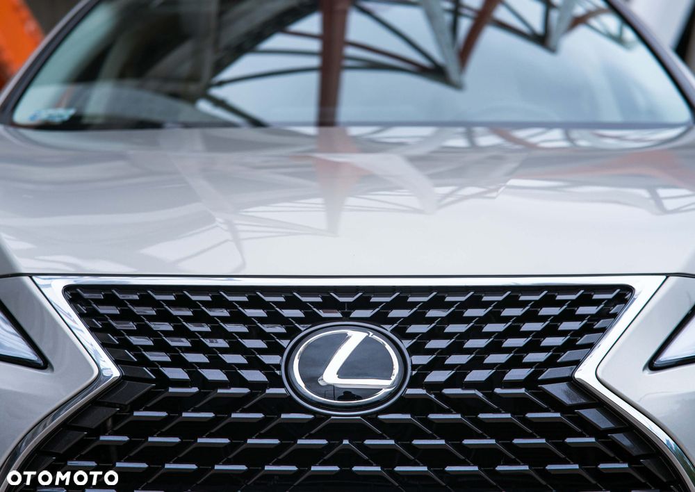 Lexus RX 300 Business Edition + - 9