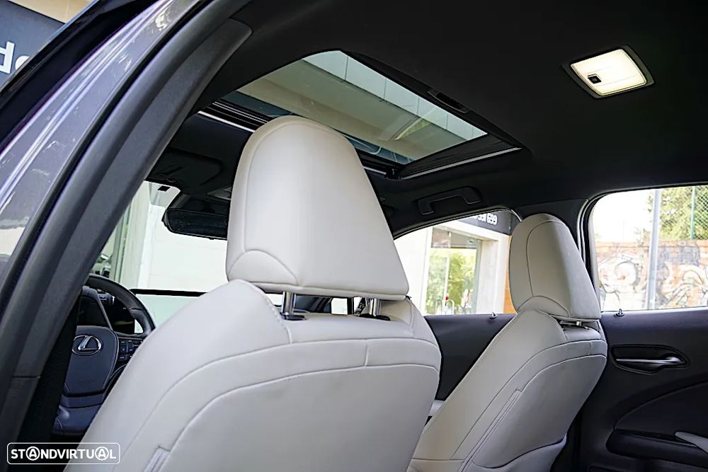 Lexus UX 250h F Sport - 19