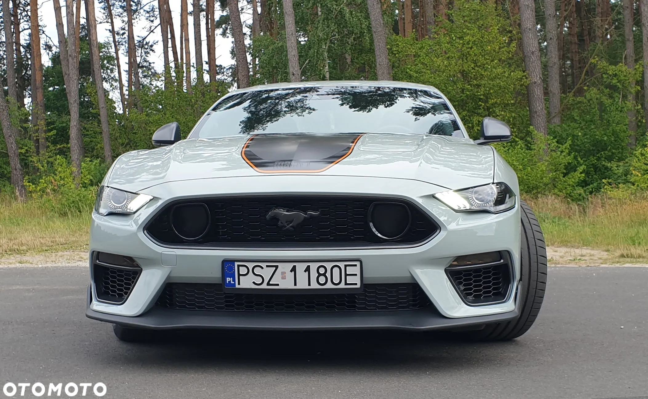 Ford Mustang - 11