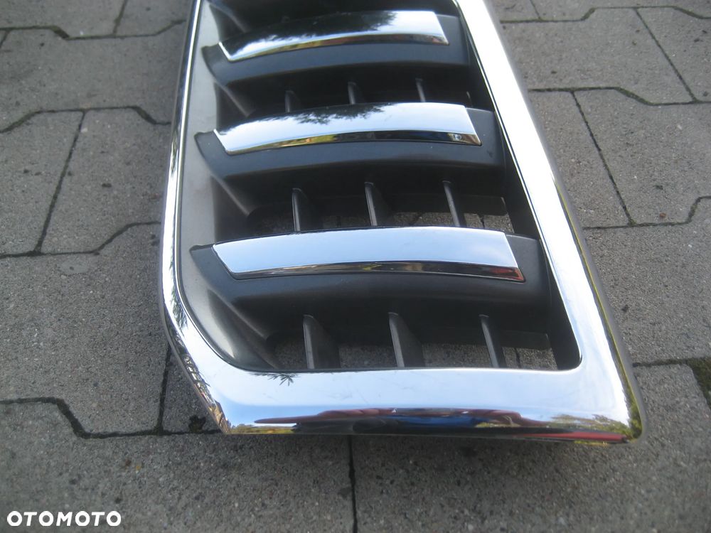 TOYOTA LAND CRUISER 120 ATRAPA grill - 7