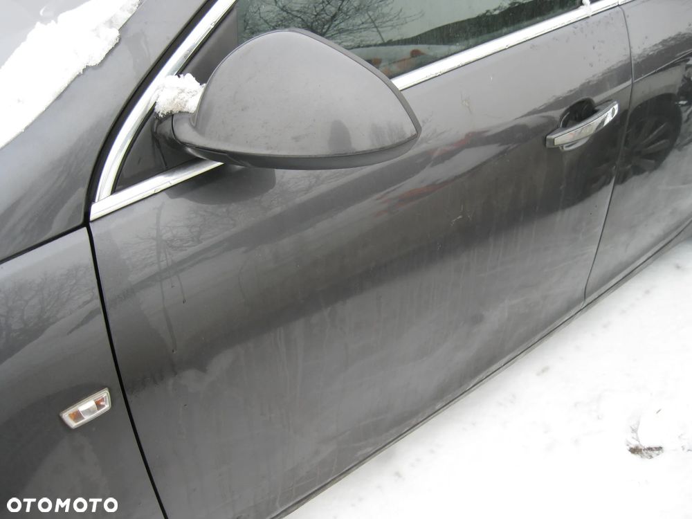 insignia drzwi kolor z177 - 1