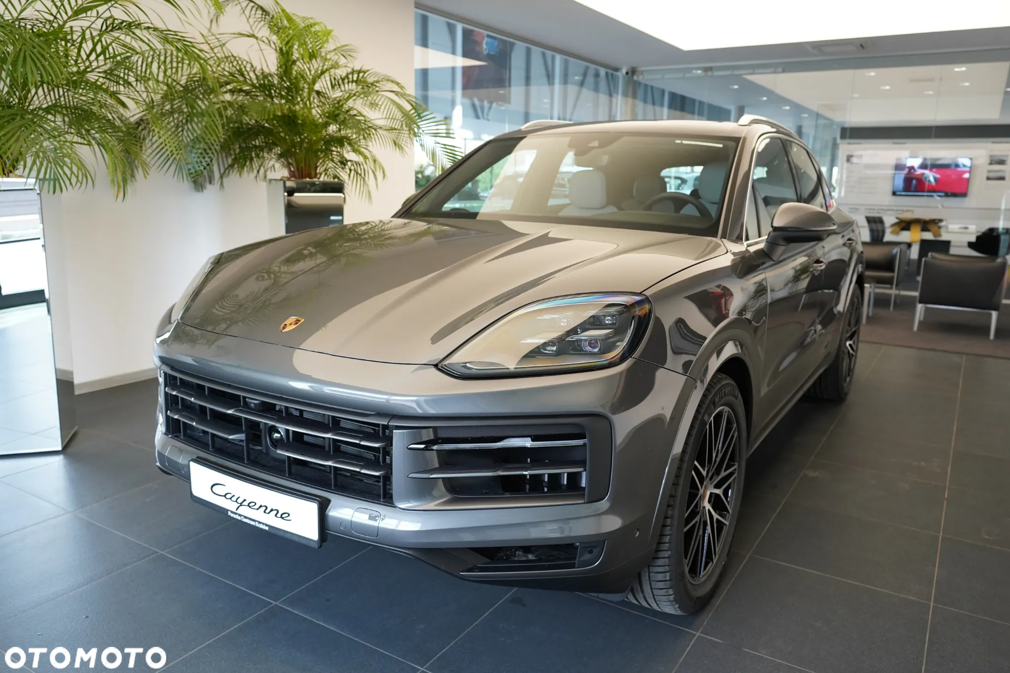 Porsche Cayenne Standard - 5