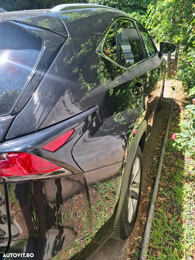 Lexus Seria NX - 30