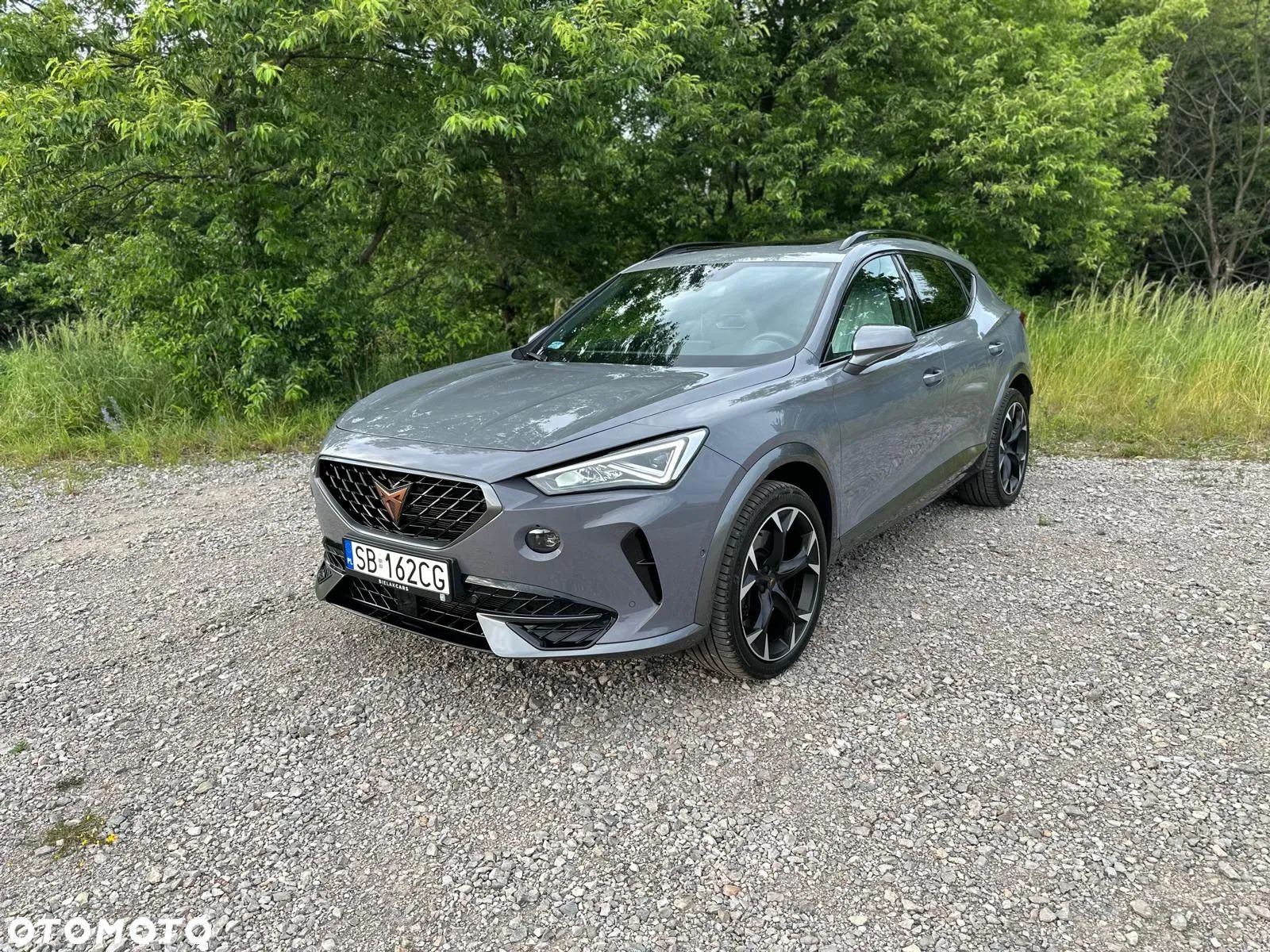 Cupra Formentor 2.0 TSI 4Drive VZ DSG - 1