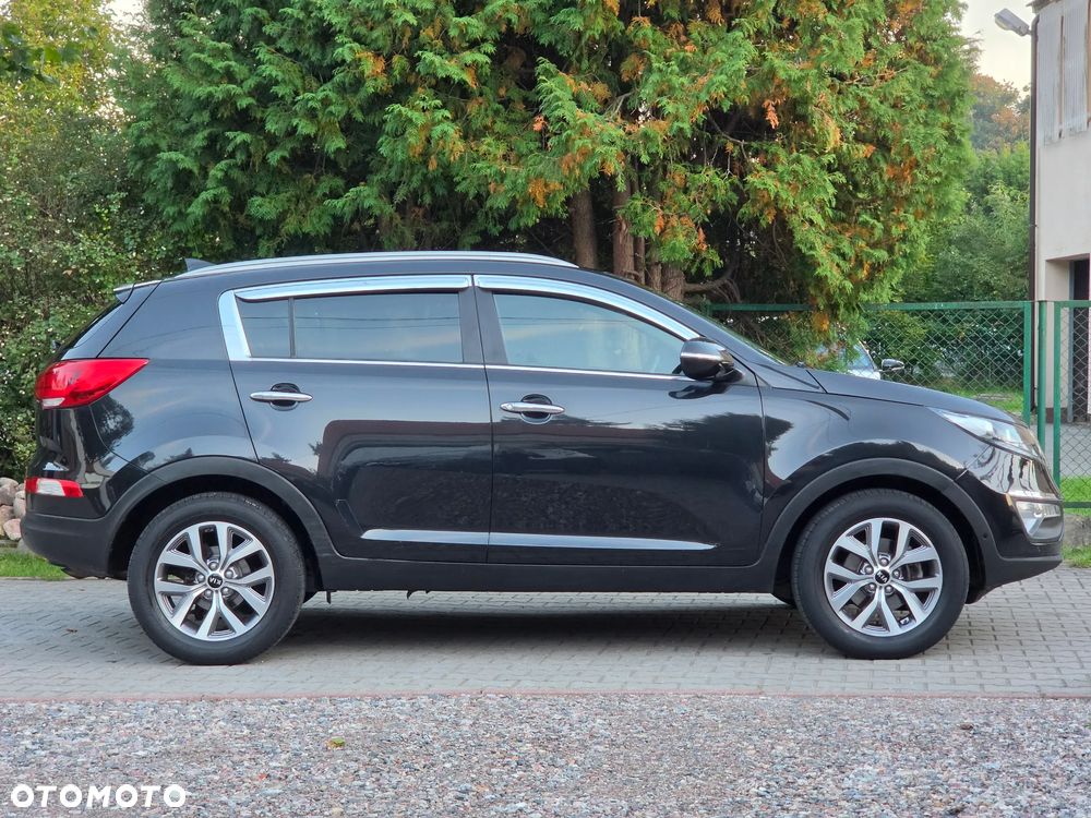 Kia Sportage 1.6 GDI Business Line L 2WD - 8