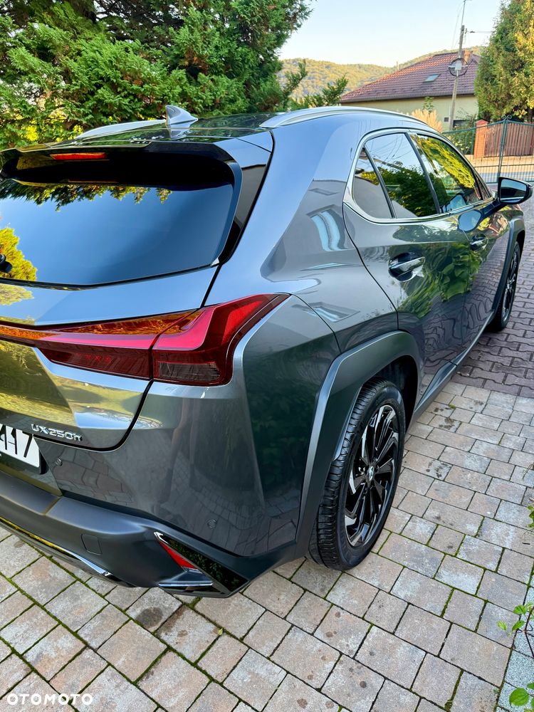 Lexus UX 250h GPF F Sport Design+ 2WD - 6