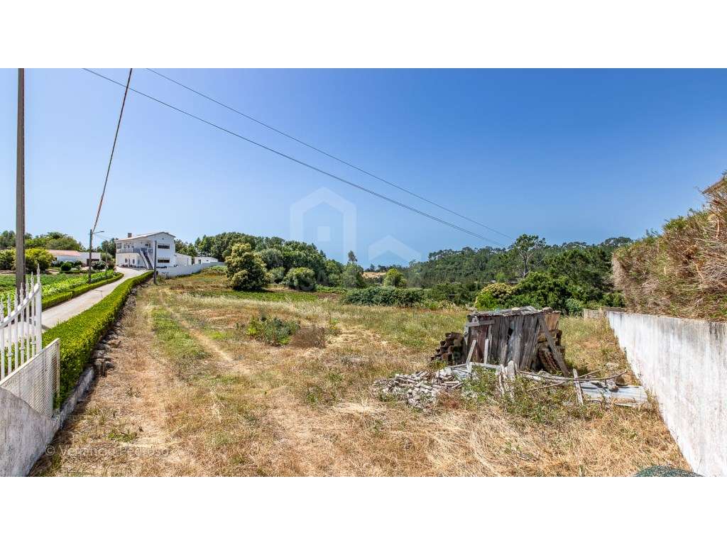 Vende Terreno - Ericeira 15 Km, A Casa das Casas - Grande imagem: 5/13