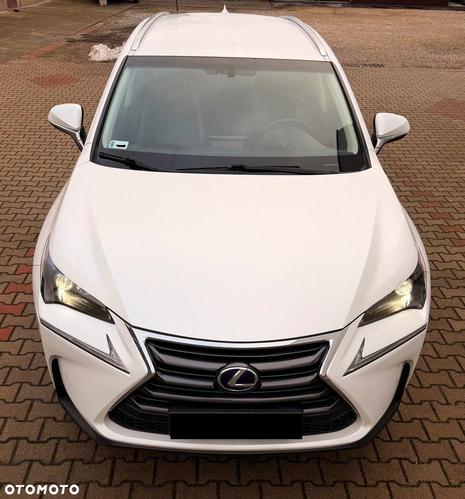 Lexus NX 300h Elegance AWD - 1