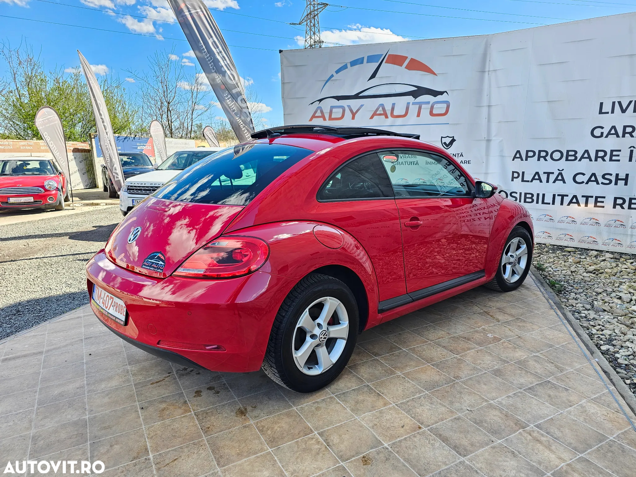 Volkswagen Beetle - 5