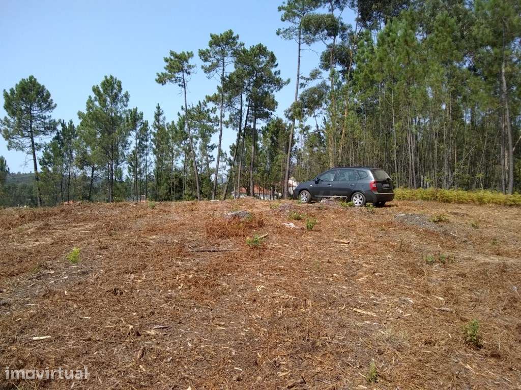 Lote de terreno urbano para construção em Nogueira - Grande imagem: 2/11