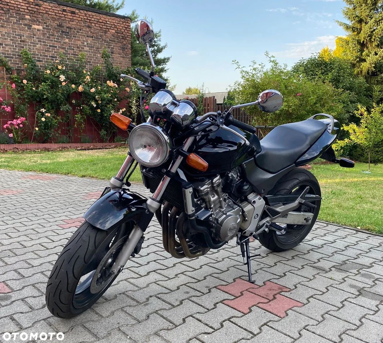 Honda Hornet - 1