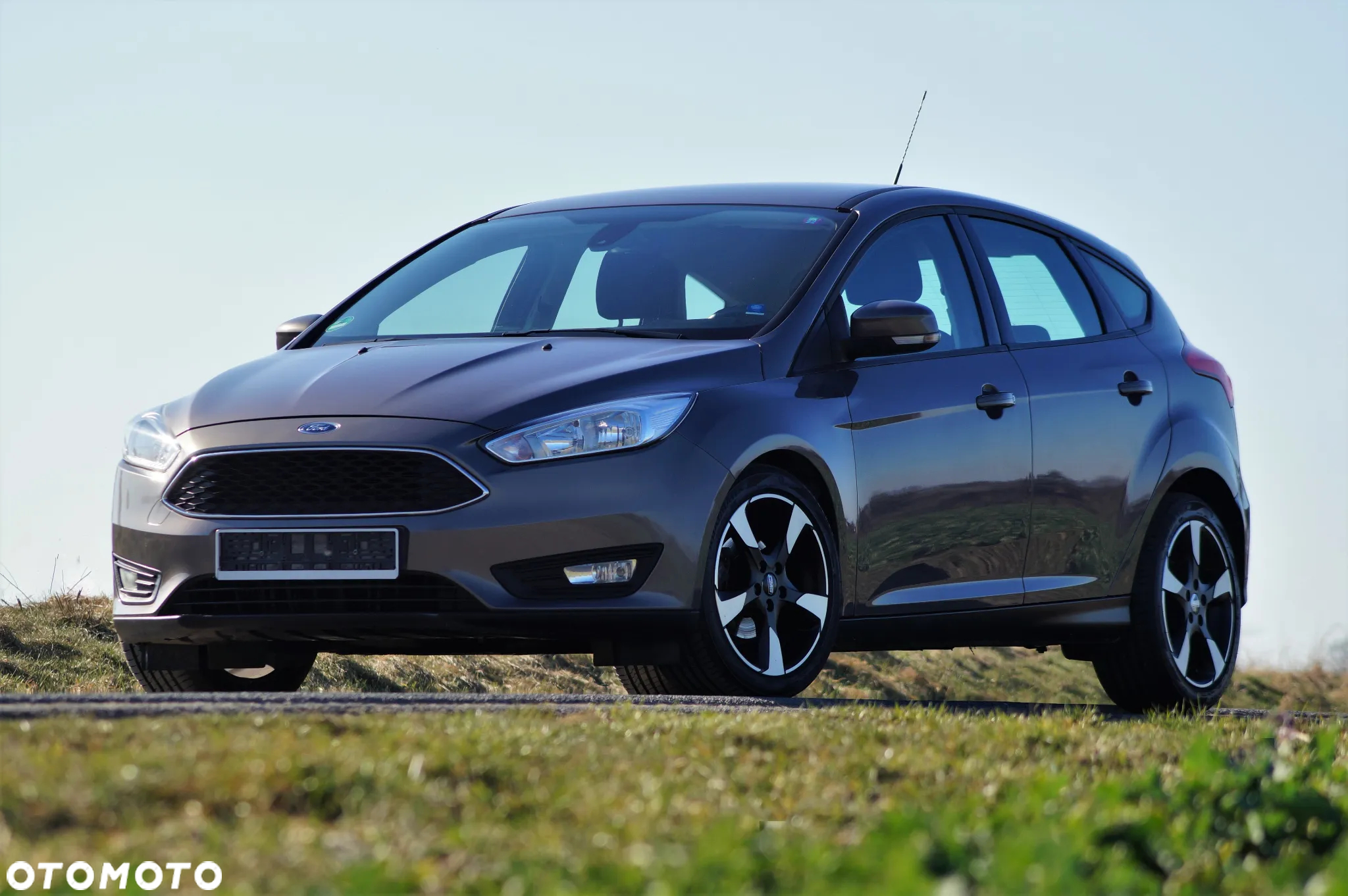 Ford Focus - 2