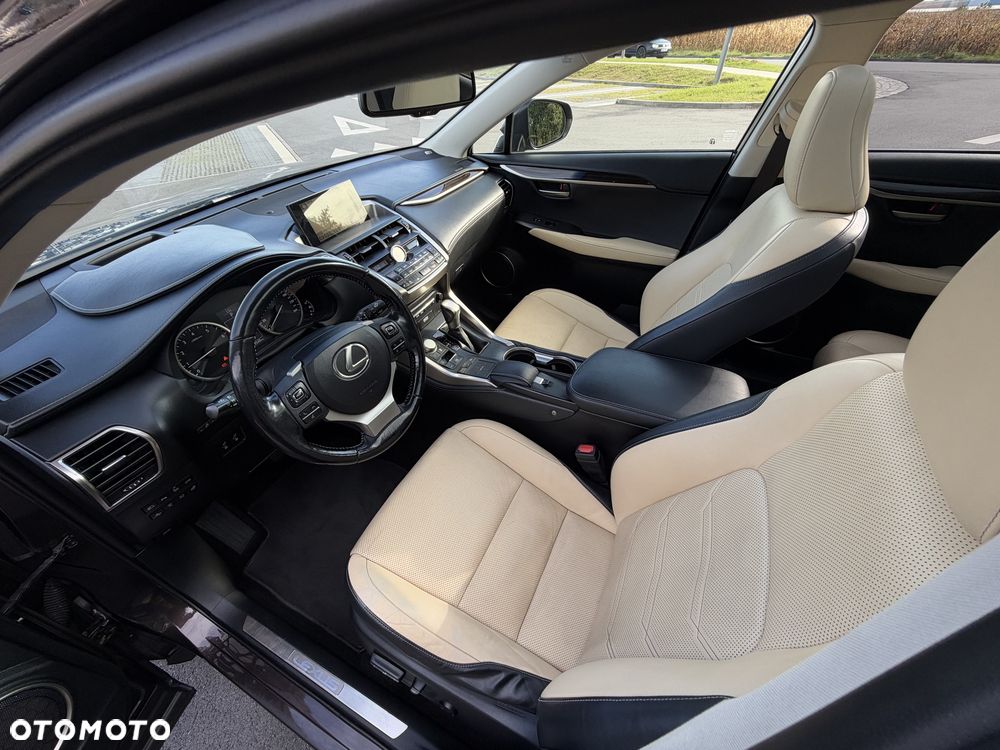 Lexus NX - 17