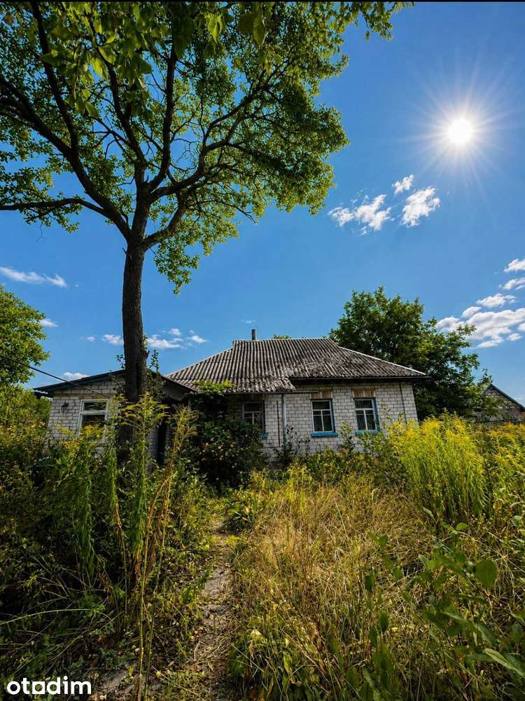 Цегляний будинок з ділянкою 24 сотки для розвитку - Повне зображення: 2/22