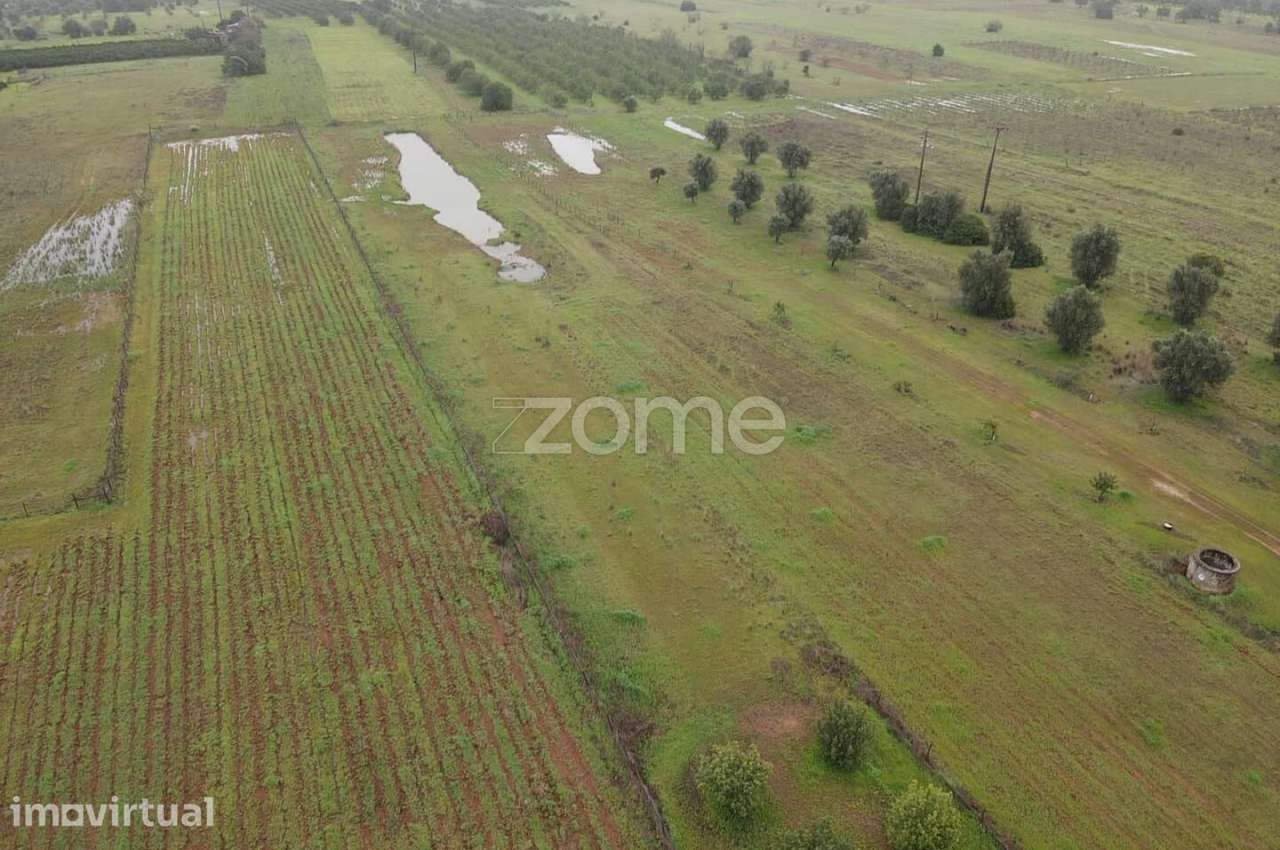 Terreno Rústico c/ 2.440m2 em Lenciscais, Paderne, Albufeira - Grande imagem: 4/16